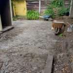 Landscape Design