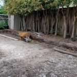 Landscape Design