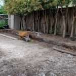 Landscape Design