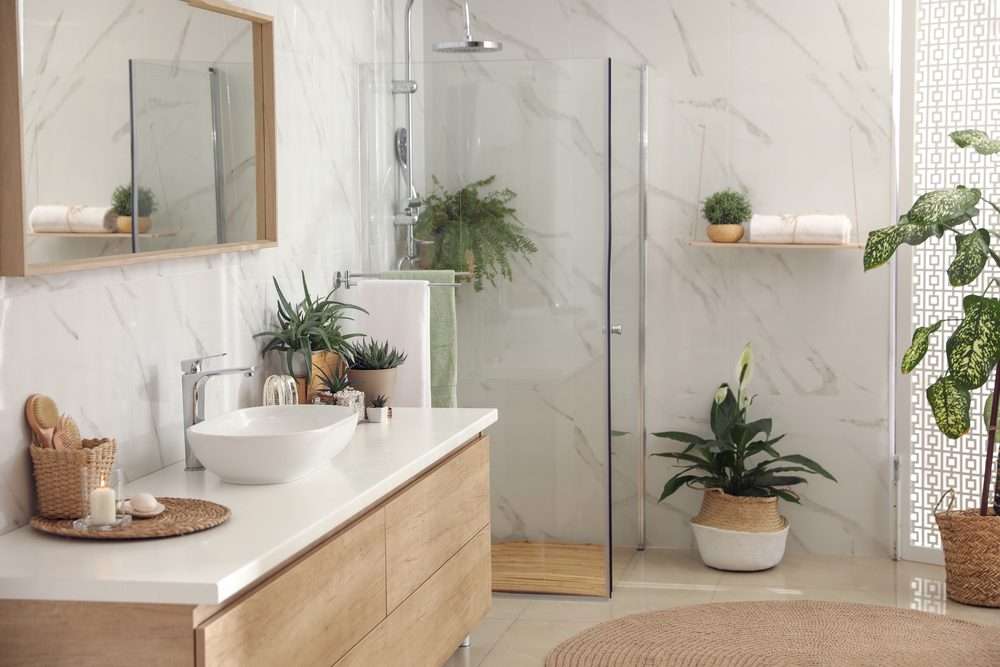 Stylish bathroom interior with countertop, shower stall and hous