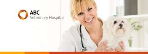 ABC Veterinary Hospital Doctor with Maltese dog concord california