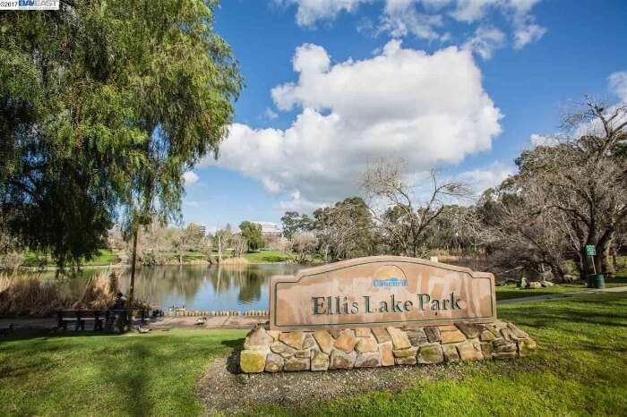 Ellis Lake Park