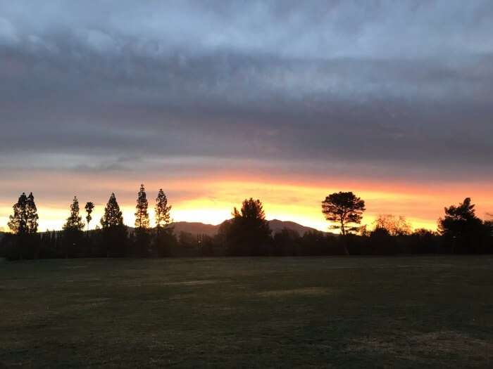 Ygnacio Valley Park