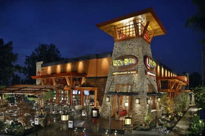 Lazy Dog Restaurant & Bar Concord California