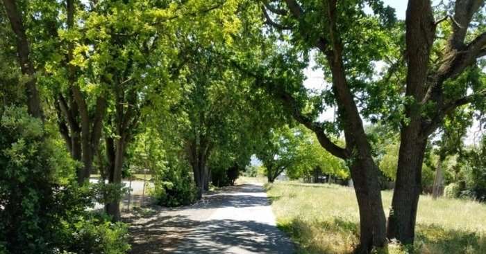 Iron Horse Regional Trail